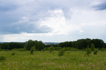 Fototapeta premium green meadow, pasture with strip of forest on horizon under clouds