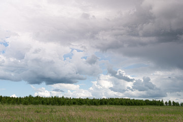 green meadow, pasture with strip of forest on horizon under clouds