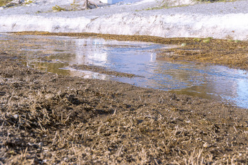 Fototapeta na wymiar spring streams from snow melting in spring flow eroding soft soils and causing soil erosion