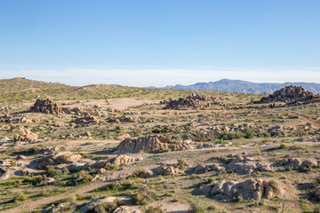 empty landscape with scattered rocks and mountains in Mojave Desert, California