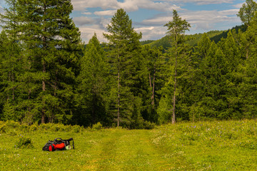 Fototapete bei efototapeten.de bestellen   