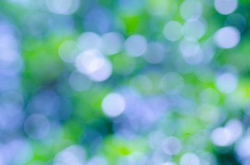 Beautiful art of circle light on green leaves