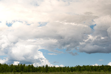 green meadow, pasture with strip of forest on horizon under clouds