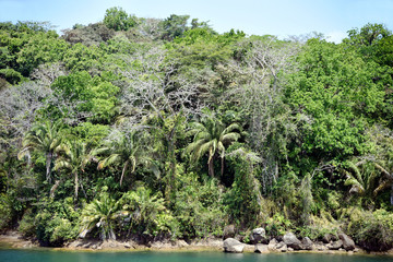 Green landscape of Panama Canal, view from the transiting cargo ship.