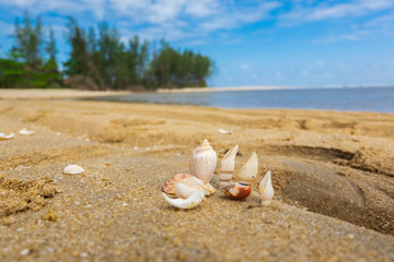 Fototapeta na wymiar beauty in nature, Kuala Ibai Beach in Terengganu, Malaysia under bright sunny day and cloudy sky