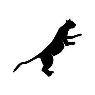 185,312 BEST Dog Run IMAGES, STOCK PHOTOS & VECTORS | Adobe Stock