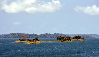 Green landscape of Panama Canal, view from the transiting cargo ship.