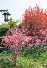 The scenery of Guyi garden in Shanghai, China
