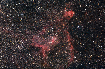 Heart Nebula