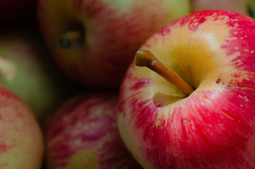  Organic Apples, pesticide-free, spray free. Harvesting from small garden.