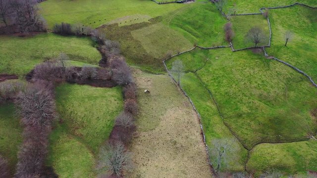 Drone view of the landscape in Solana, Aerial view of the Miera River Valley, Landscape in winter, Valleys Pasiegos, Cantabria, Spain, Europe