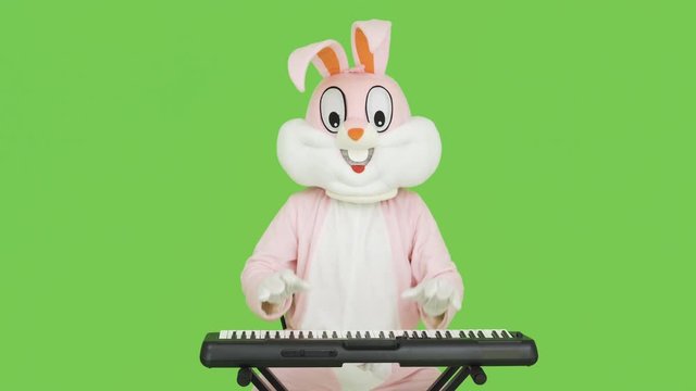 Pianist playing piano, celebrate easter, have fun. Adult Easter bunny life-size suit playing electric digital piano Casio CT-S300 on chroma key, green screen