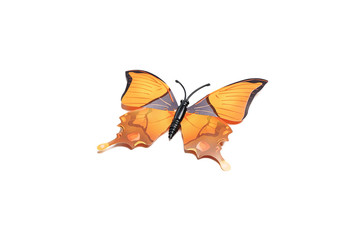 Fototapeta na wymiar Orange flying butterfly plastic with open wings top view isolated on white