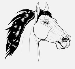 Linear portrait of a horse with long mane. Stallion pricked up its ears and stared ahead warily with flared nostrils. Vector emblem, design element for equestrian goods and coloring books.