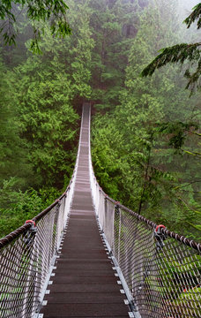Lynn Canyon, British Columbia, Vancouver, Suspension Bridge in Canada