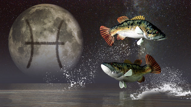 Pisces, the two fish, is the twelfth sign of the Zodiac. People born between February 18th and March 20th have this astrological sign. 3D Rendering