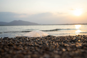 Backgrounds Textures Wave Water flow garbage plastic In the river Reflection Light from Sunset