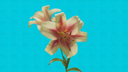 yellow lilies on a linen fabric of aquamarine color