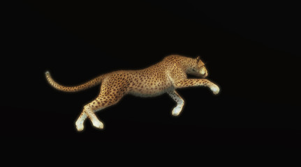Cheeath isolated black © Orlando Florin Rosu
