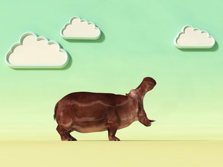 hippopotamus conceptual