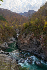 Clean mountain river in the autumn forest.