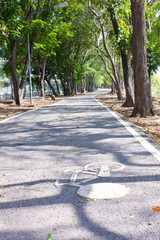 Cycling paths in the park
