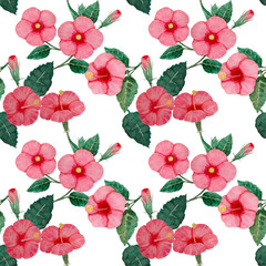 Fototapeta premium Watercolor painting floral seamless pattern with pink hibiscus flowers blossom and green leaves on white background, tropical plant graphic repeated print for textile, fabric or vintage wallpaper