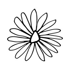Colorful black and white pattern for coloring. Daisy flower illustration.