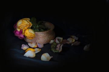  dried rose flowers in a wooden vase on a dark background, fallen rose petals