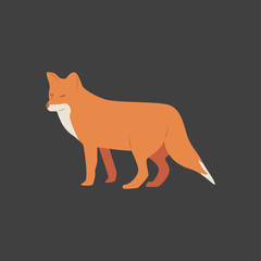 cute fox vector illustration. isolated.