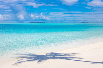 Beautiful landscape with sea and a shadows of palm leaf on white sand close to amazing blue sea