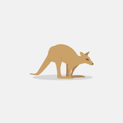 cute kangaroo in flat style on white background