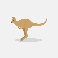 cute kangaroo in flat style on white background