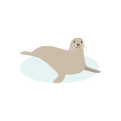 Cartoon walrus, seal. Cute walrus goose, Vector illustration on a white background. Drawing for children.