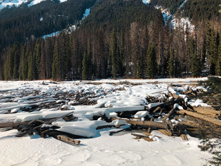 A view of snow covered Lillooet Lake with driftwoods floating on the surface