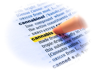 A close up of the word: CANNABIS in a dictionary, highlighted in yellow and showing part of its definition.