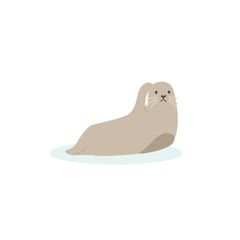 Cartoon walrus, seal. Cute walrus goose, Vector illustration on a white background. Drawing for children.