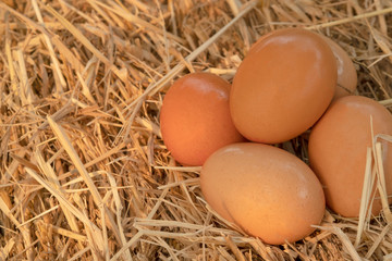 a pile of fresh eggs on the hay straw background