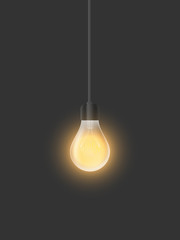 Realistic vector glowing light bulb. The included light in the loft style.