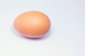 fresh chicken egg on white background 