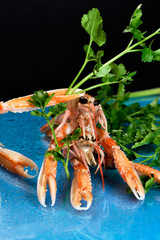 carrots on the table