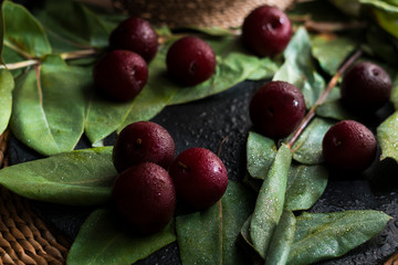 berries on a natural background and rain