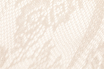 Sunlight on the wall with shadows from the white lace curtain. Spring and summer texture background