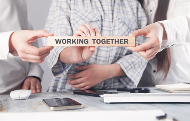 Business people showing Working Together text on wooden block.