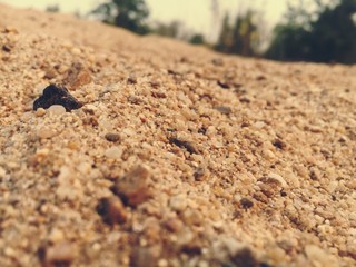Pile of sand at construction site