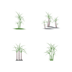 set of Sugar cane Logo Template vector symbol