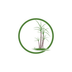 Sugar cane Logo Template vector symbol