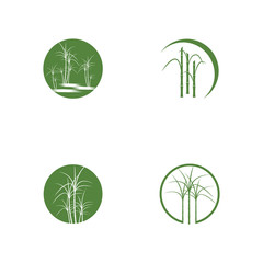set of Sugar cane Logo Template vector symbol