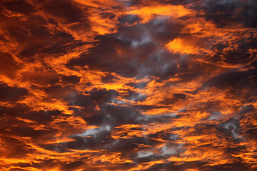 Sky turns into golden red colors like fire in the sky during dusk at Jaldapara National Park in West Bengal, India. This is spring season when weather is pleasant and nature shows its different attrac