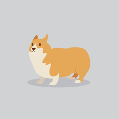 Obraz premium Corgi dog vector cartoon illustration. Cute friendly welsh corgi puppy, isolated on grey. Pets, animals, canine theme design element in contemporary simple flat style